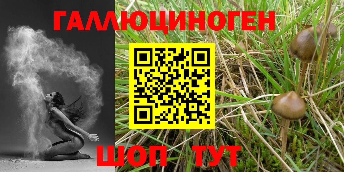 Галлюциногенные грибы мухоморы Нововоронеж