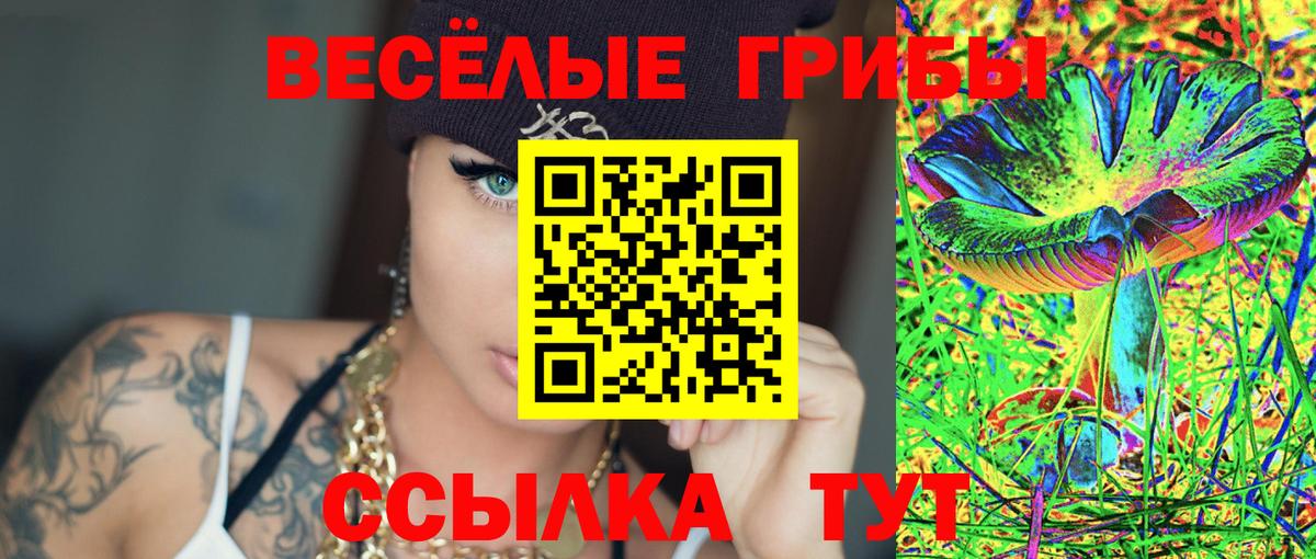 Псилоцибиновые грибы Psilocybe  Псилоцибиновые грибы мухоморы  Нововоронеж  Вход с VPN 